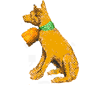 Stuffed Basenji wearing a bell.