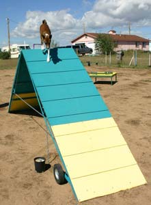 Adult on A-Frame  - Photo: K. McNeill