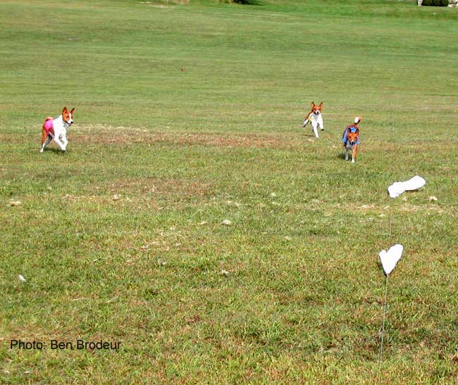 Coming in thecourse Finish