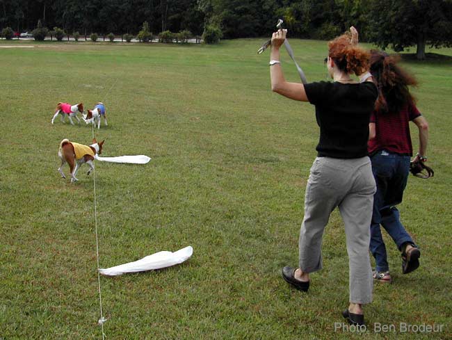 Retrieve your hounds