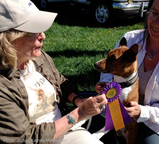 End of the Day at a Lure Trial