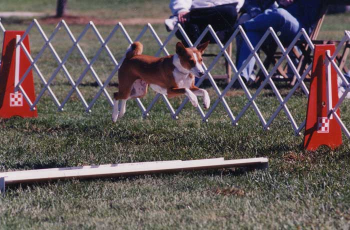 Board Jump - Photo: E. White