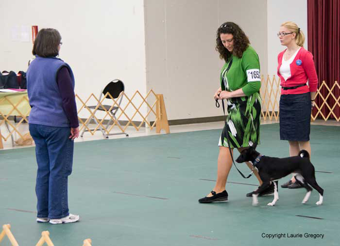 Novice Figure 8: Photo: L. Gregory