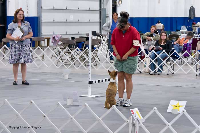 Front: Photo: L. Gregory