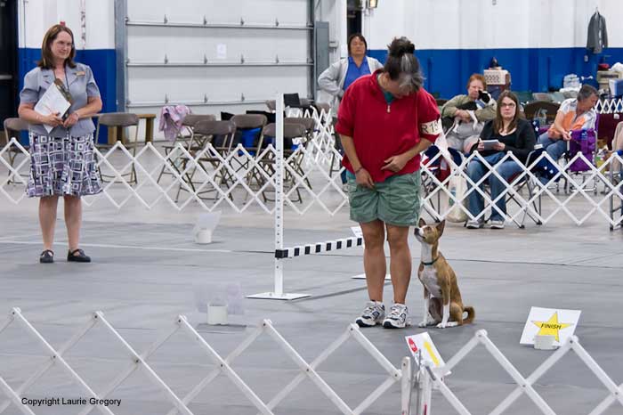 Rally Finish - Photo: L. Gregory