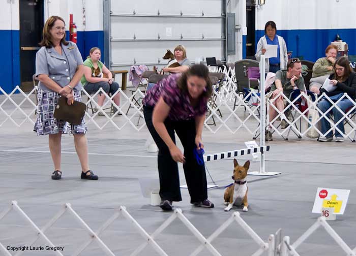 Rally - Photo: L. Gregory