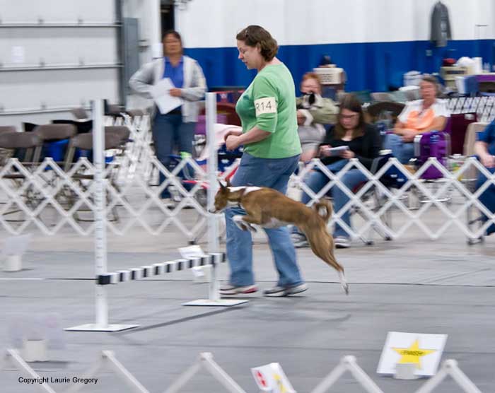 Rally - Photo: L. Gregory