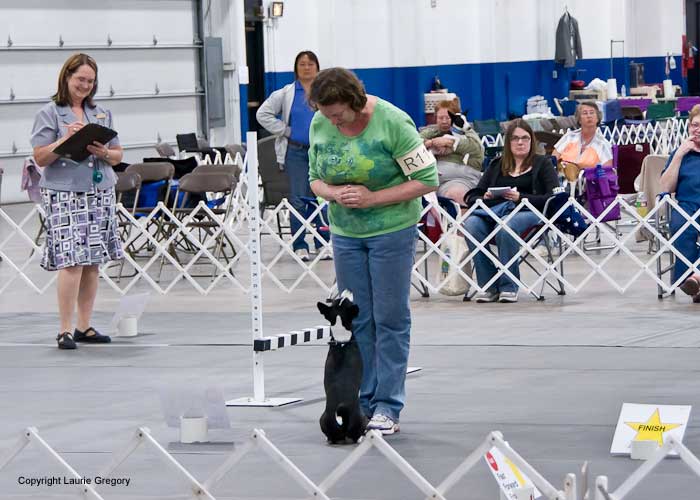 Rally - Photo: L. Gregory