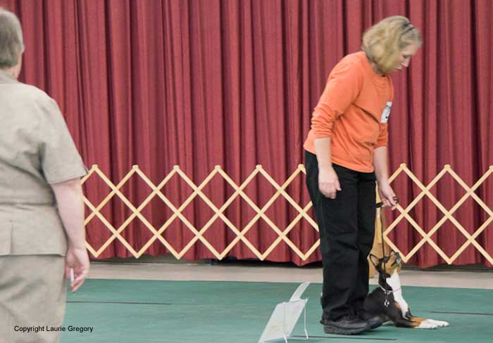 Rally - Photo: L. Gregory