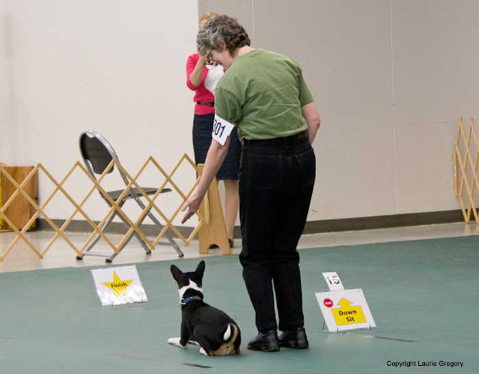 Rally - Photo: L. Gregory