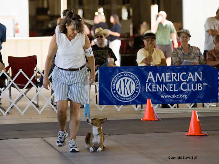 Rlly - Photo: S. Bull