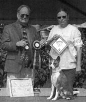 Lacada's Con Man K's Kaper