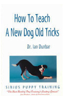 How To Teach A New Dog Old Tricks