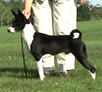 Click for Example 01