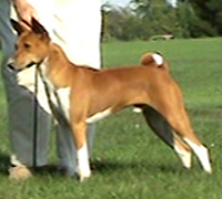 Click for Example 02