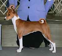 Click for Example 03