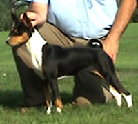 Click for Example 04