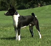 Click for Example 05