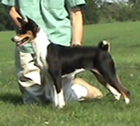 Click for Example 06