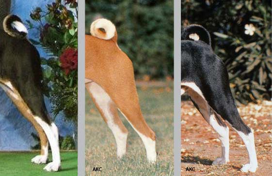 Range of well bent stifles