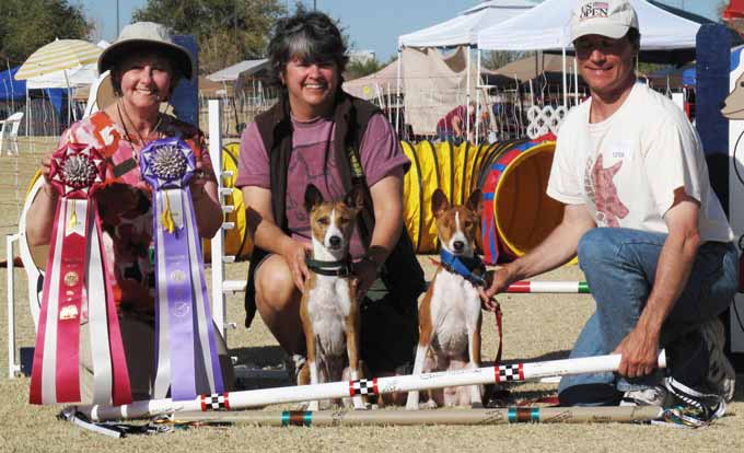 Judge, Basenjis and Handlers