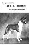 Buy a Basenji