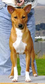 Ntomba Lokoso  Photo