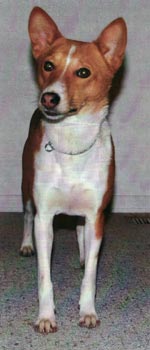 Avongara Naziki  photo