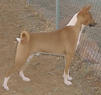 Courtesy of Beverly Bland.