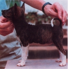 Stephanie at approx. 6 weeks.