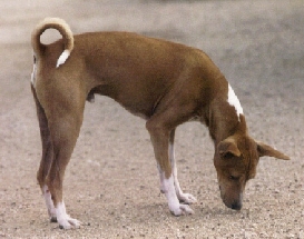 Side view of Bikoro.