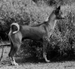 Side view of Bikoro.