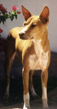 Front view of Bikoro.