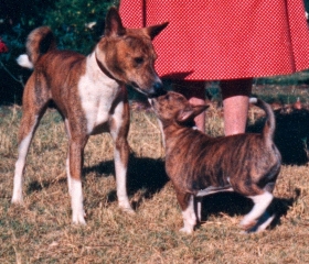 Binza with Mahmoud. Photo courtesy Michael Hughes-Halls.