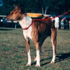 Front view of Binza. Photo courtesy Michael Hughes-Halls.