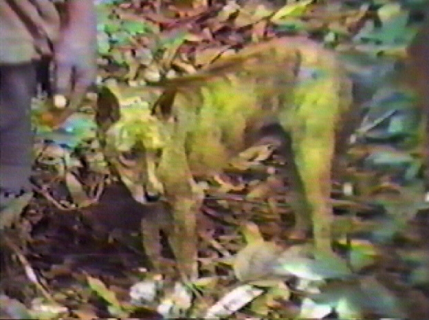 from video, Jon Curby 1987