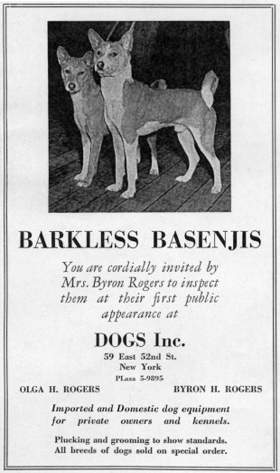 Bois (front) and Wallop. From Westminster Kennel Club archives, published courtesy Westminster.