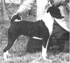 2nd Generation - Coptokin The Black Ashanti