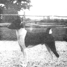 1st Generation - Coptokin Atlantic of The Senjies.