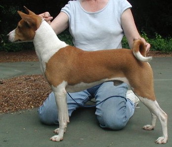 Side view of Trampus. Summer 2001