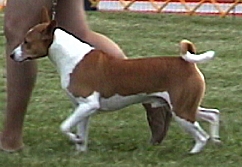 Trampus at 2000 BCOA National.