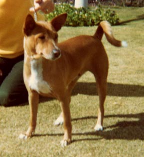 Courtesty Beverly Bland.