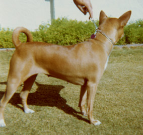 Courtesy Beverly Bland.