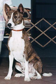 Front view of Donner.