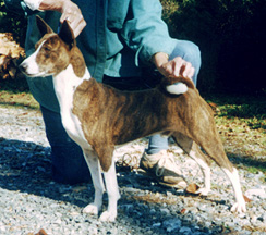 Side view of Donner.