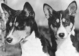 First tri-colors outside of Africa.