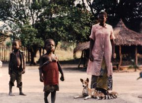 Goldi's dam feeds her pups in Africa.