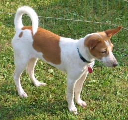 Dulce at the 2004 BCOA National