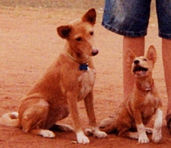 Jasmine & Tyler in Africa.