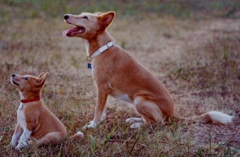 Tyler & Jasmine in Africa.